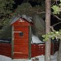 14. Dog Sledging